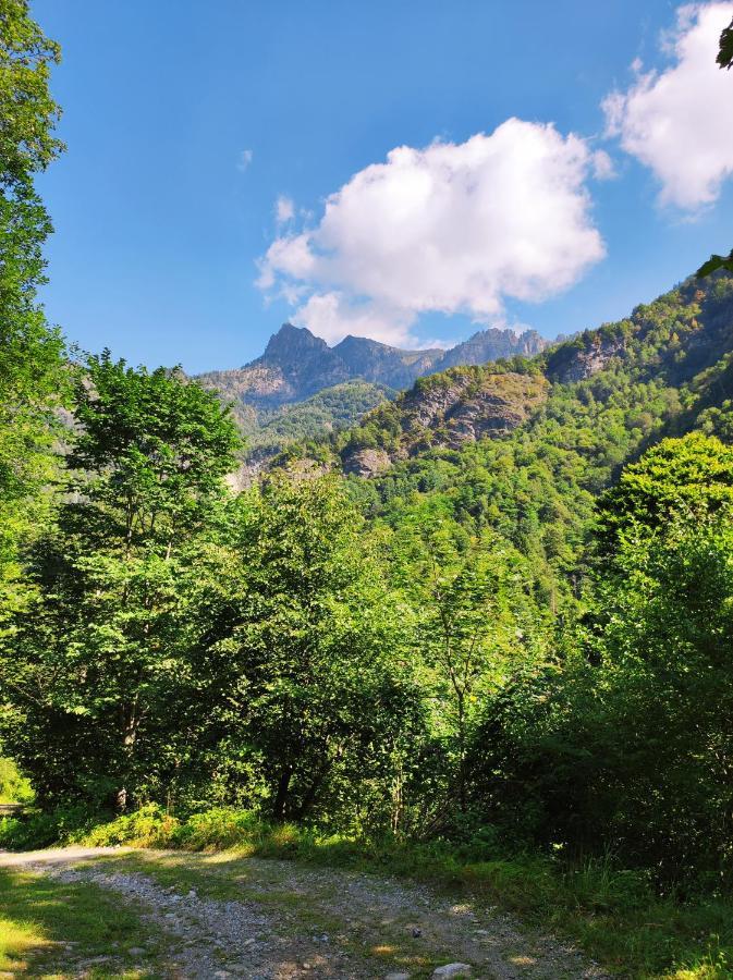 La Casa Del Busso Bed and Breakfast Boccioleto Εξωτερικό φωτογραφία